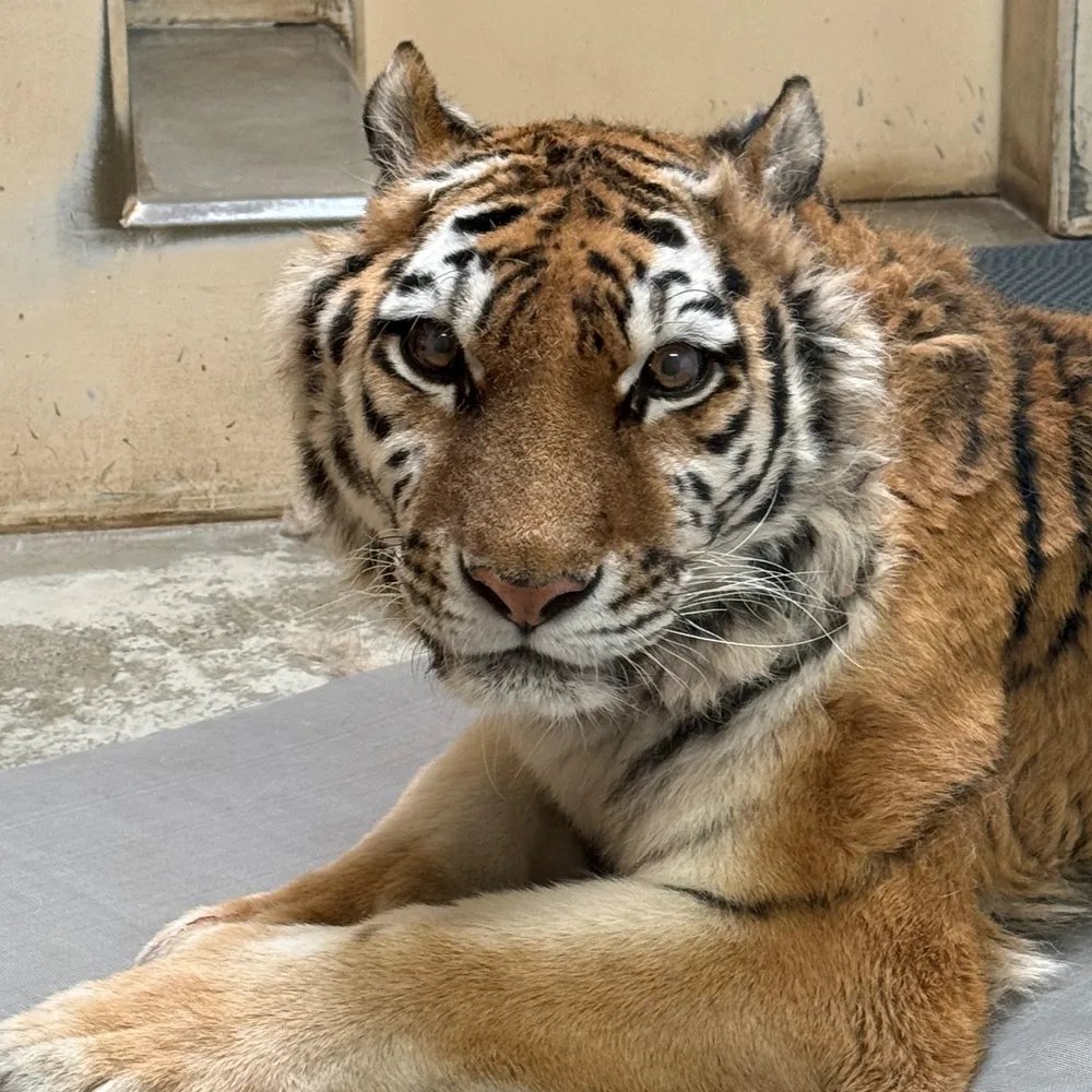 🦒 구시로시 동물원